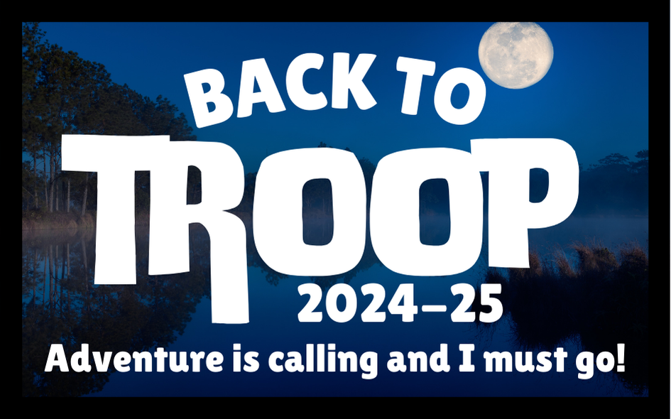 Back to Troop Night Sky 2024-25 Iron-on Fun Patch 8x5Cm Rectangle