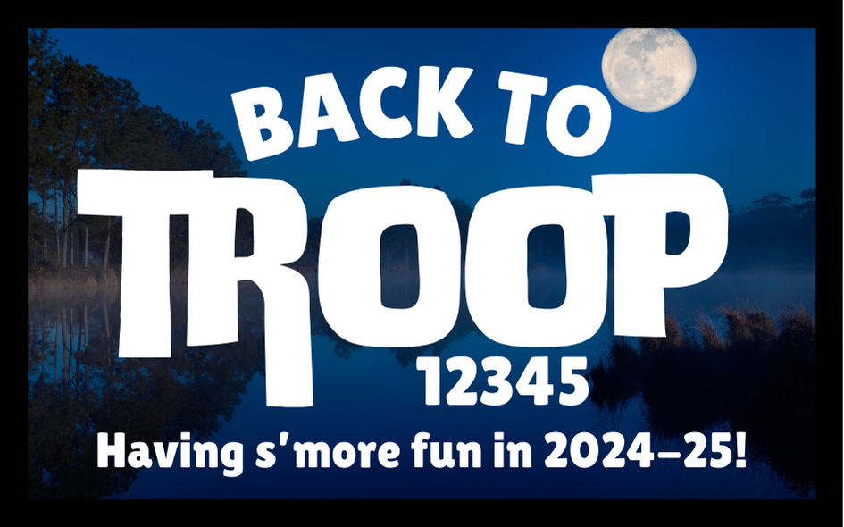 Back to Troop Night Sky 2024-25 Iron-on Fun Patch 8x5Cm Rectangle