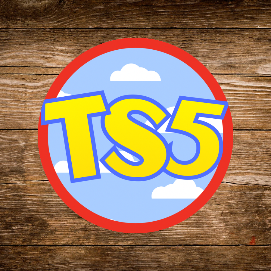TS5 Iron-on Fun Patch