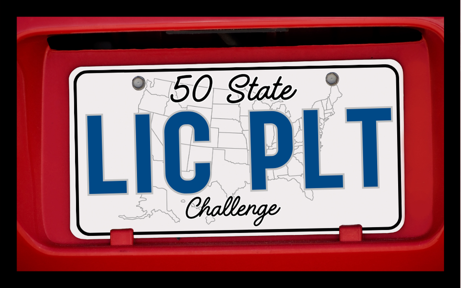 50 State License Plate Challenge 8x5 cm Iron-on Fun Patch